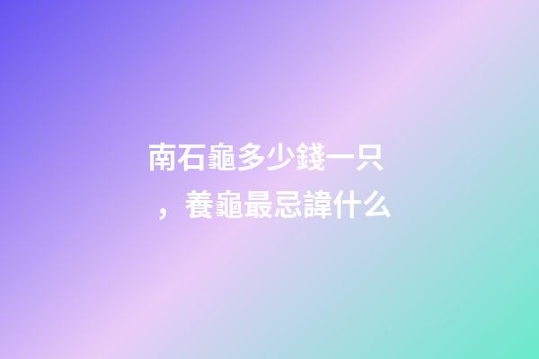 南石龜多少錢一只，養龜最忌諱什么